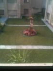 Miniature 5