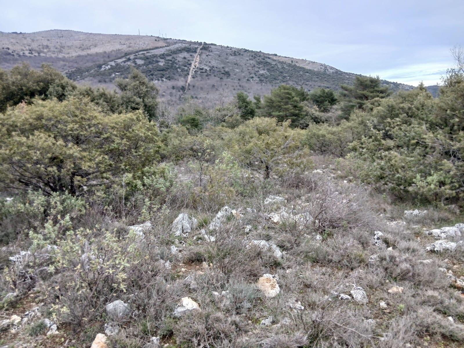 Terrain non constructible en Vente à St-vallier-de-thiey