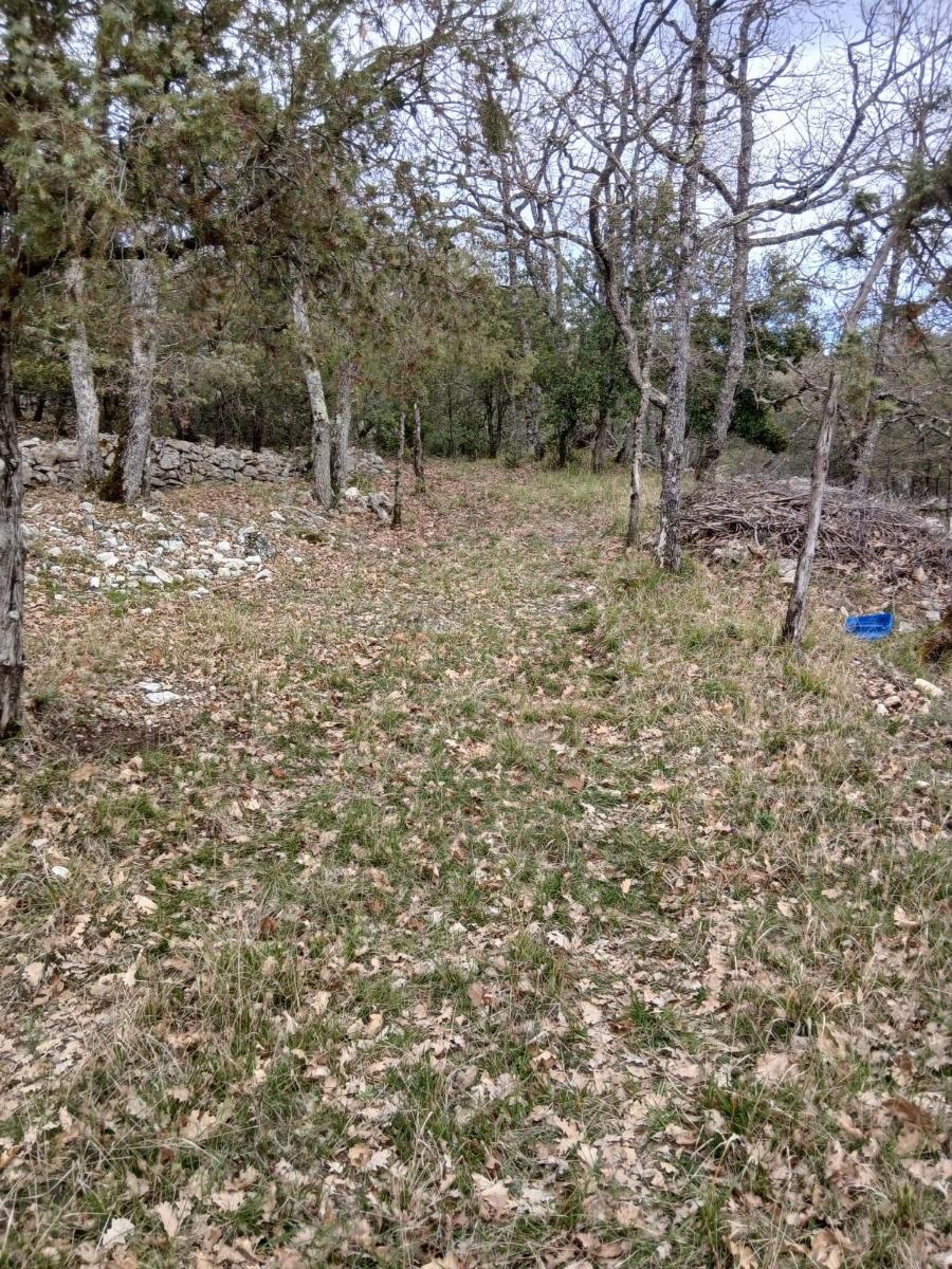 Photo 4 — Terrain  &agrave; vendre &agrave; St vallier de thiey