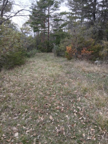 Terrain en vente &agrave; St vallier de thiey /  28000 m&sup2;