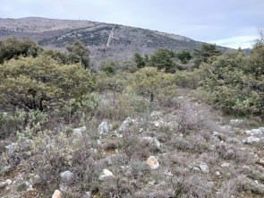 Terrain en vente &agrave; St vallier de thiey